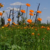 – 10% pour la rentrée !