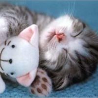 Sophrologie et Sommeil – Qui est concerné ?